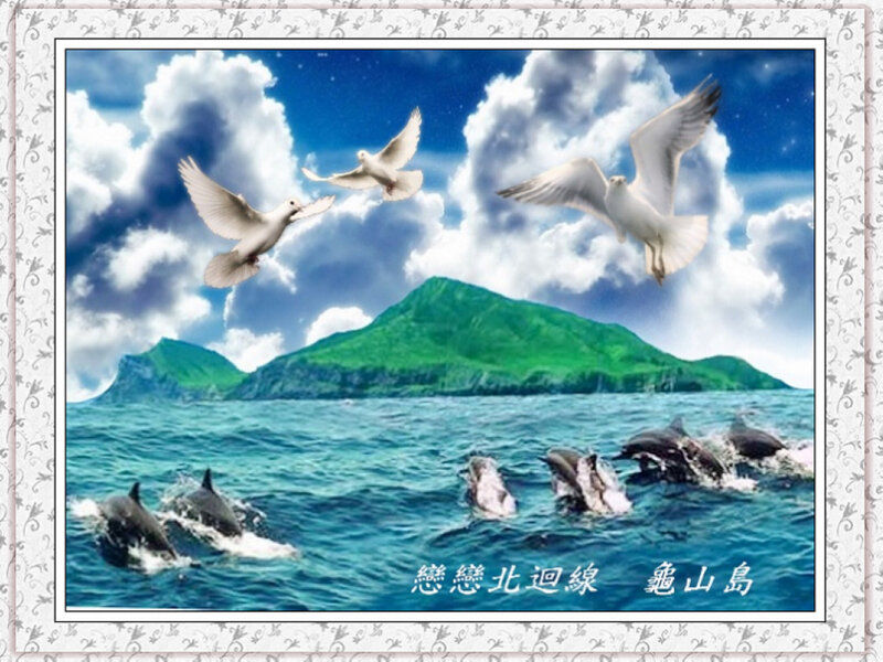 Dolphins and Birds