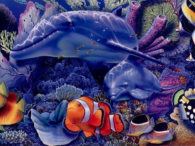 Dolphins and Clownfish