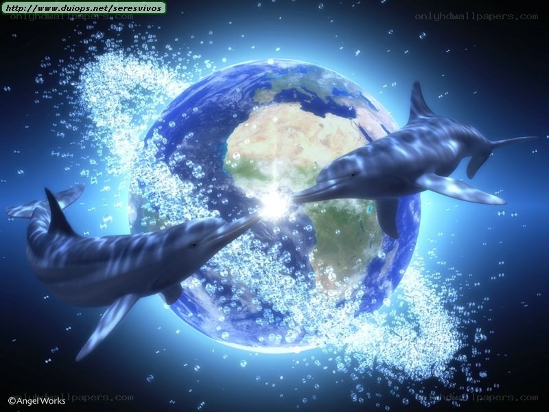Dolphins and Earth in Space