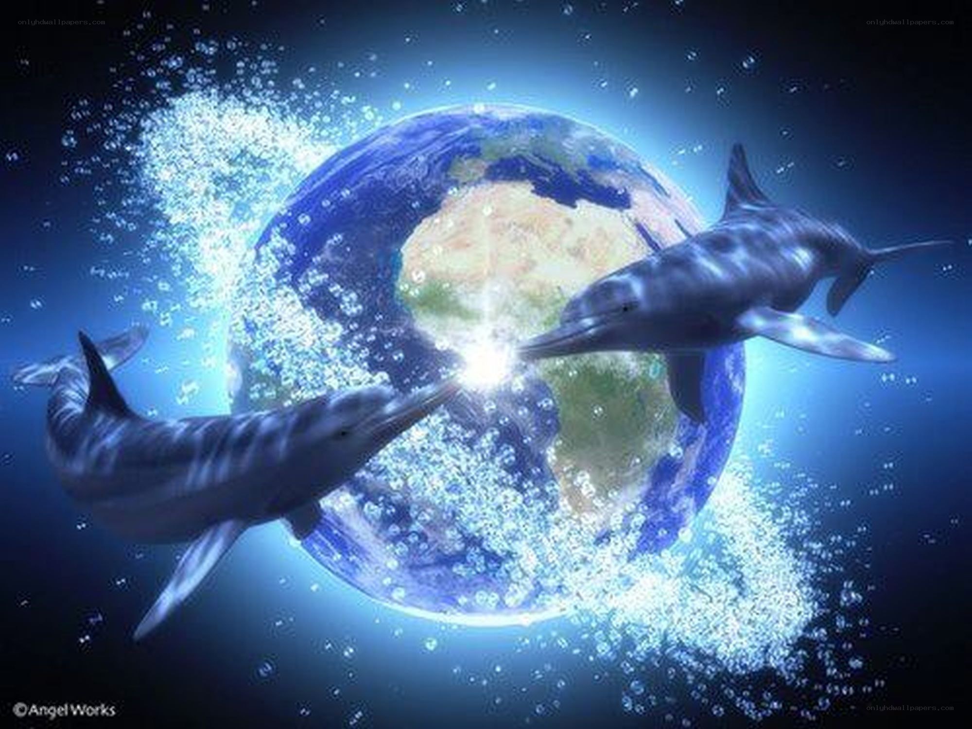 Dolphins and Earth in Space