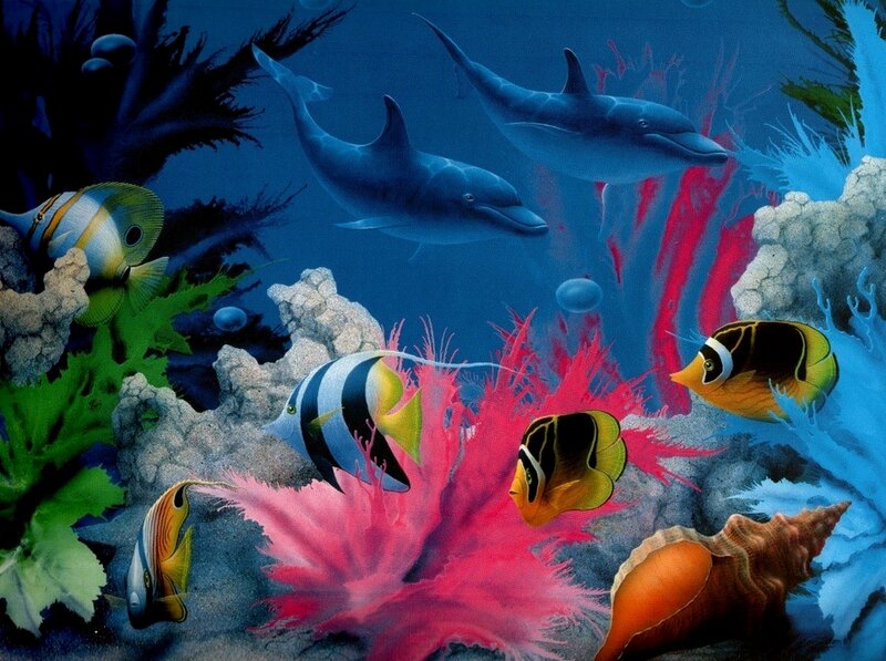 Dolphins and fish in coral reef