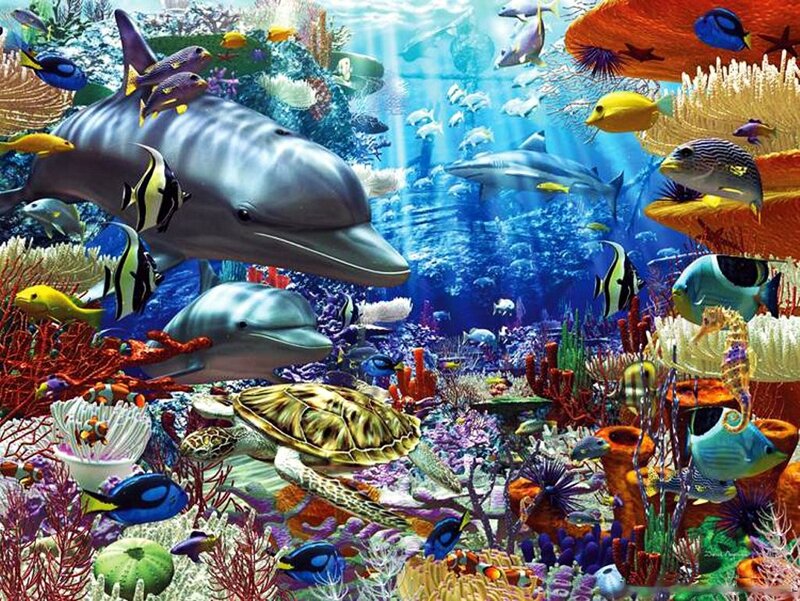 Dolphins and Fish in Coral