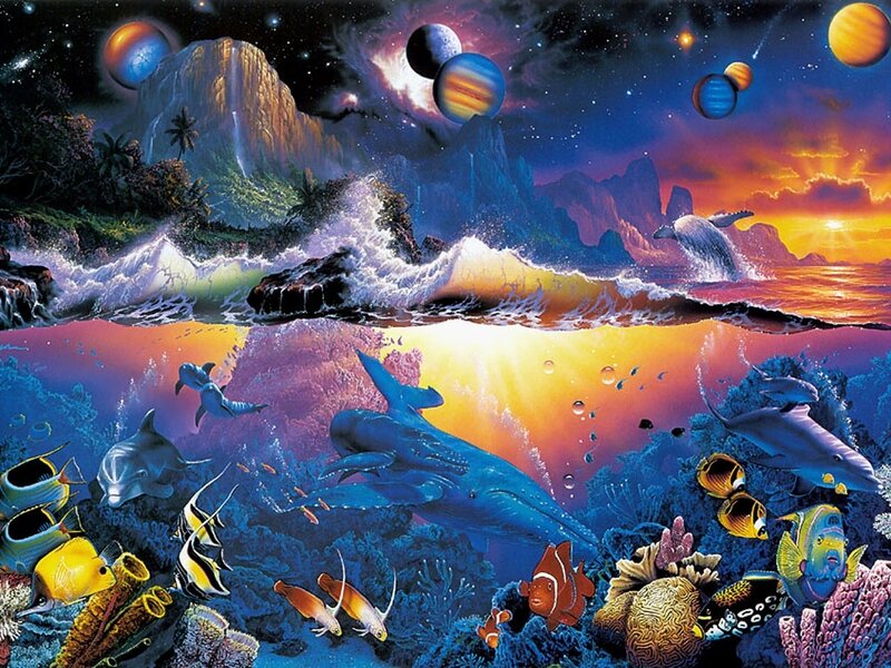 Dolphins and Fish Underwater