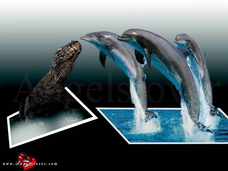 Dolphins and Komodo Dragon