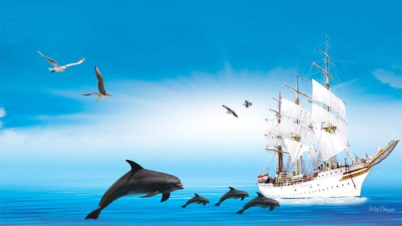 Dolphins and Sailing Ship