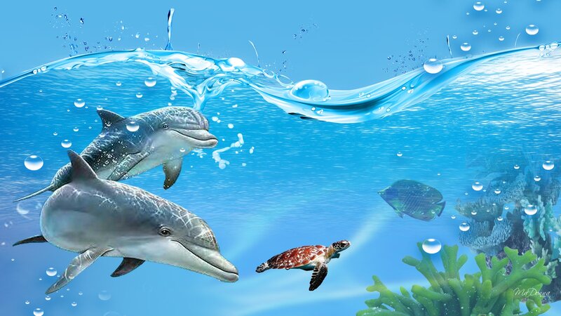 Dolphins and Sea Turtle