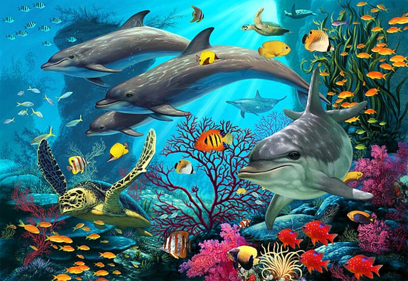 Dolphins and Sea Turtles — Blue