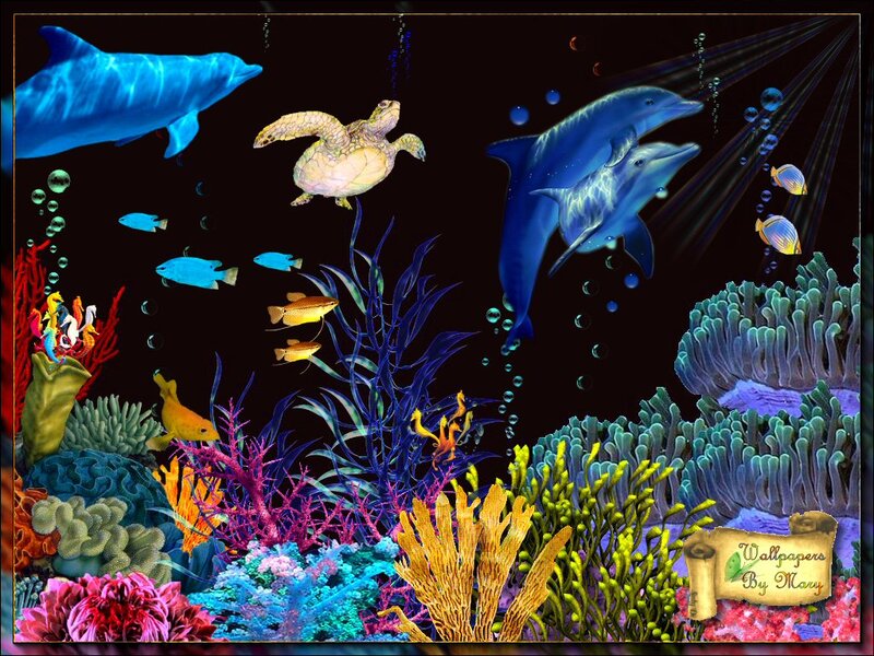 Dolphins and Sea Turtles