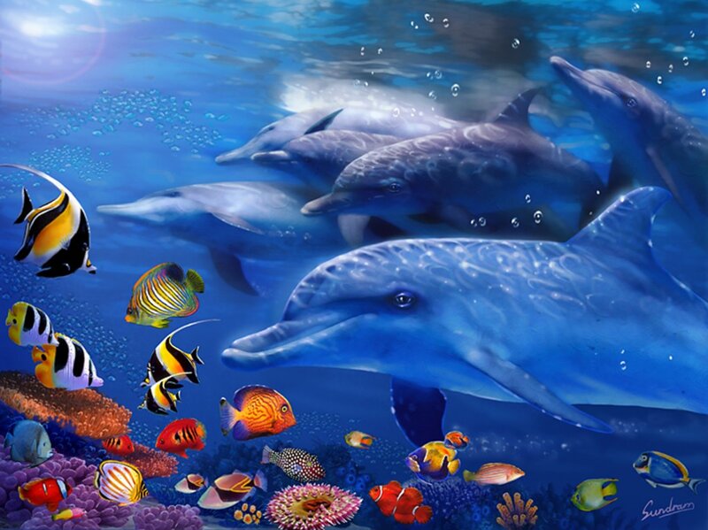 Dolphins and Tropical Fish — Blue