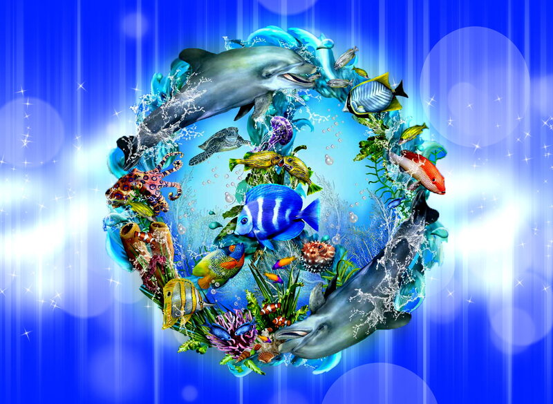 Dolphins and Tropical Fish — Blue, Vibrant