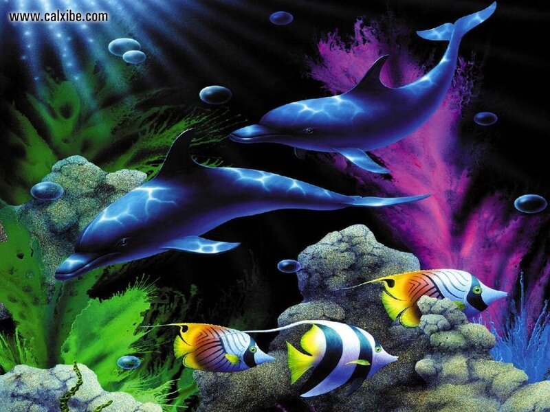 Dolphins and Tropical Fish