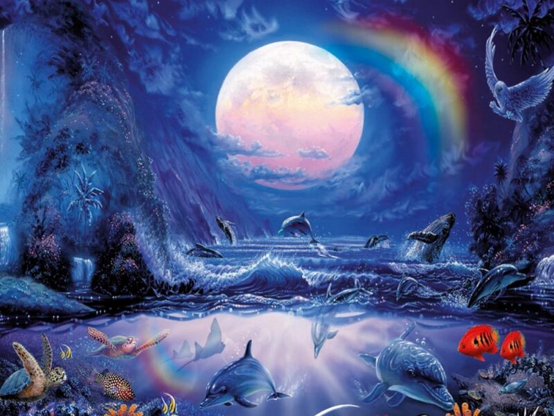 Dolphins and Whales at Night