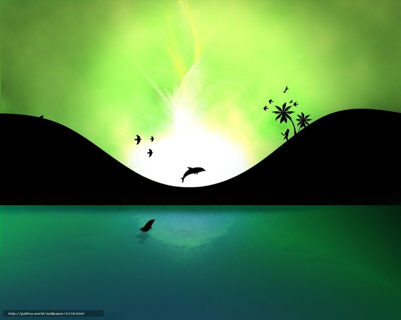 Dolphins at sunset