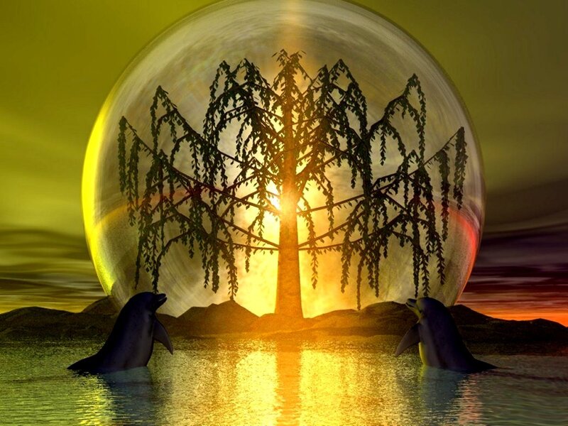 Dolphins at sunset with tree