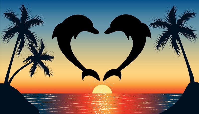 Dolphins Forming Heart