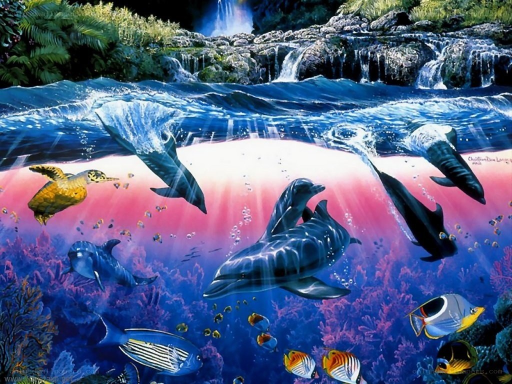 Dolphins in a coral reef