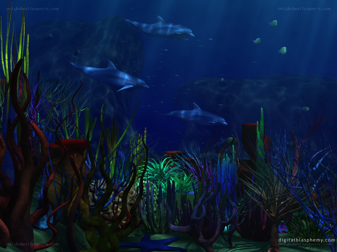 Dolphins in a coral reef