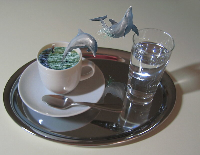 Dolphins in a cup