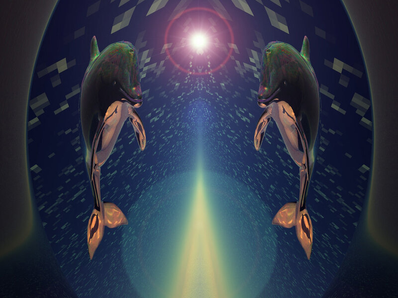 Dolphins in a digital tunnel