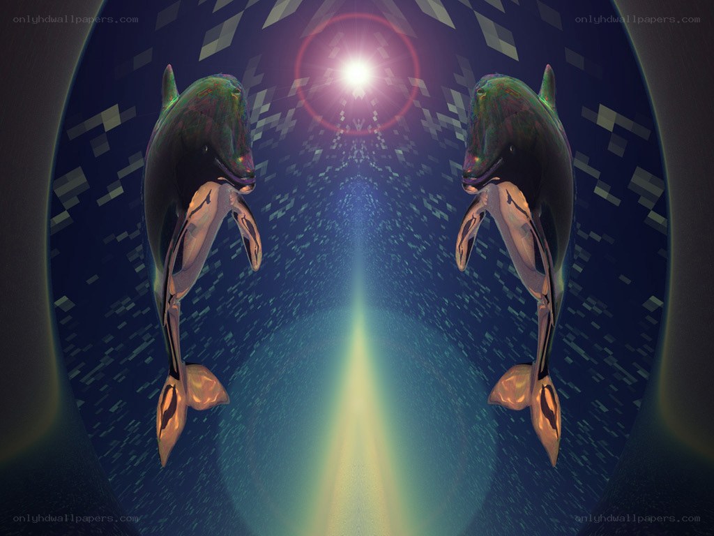 Dolphins in a digital tunnel