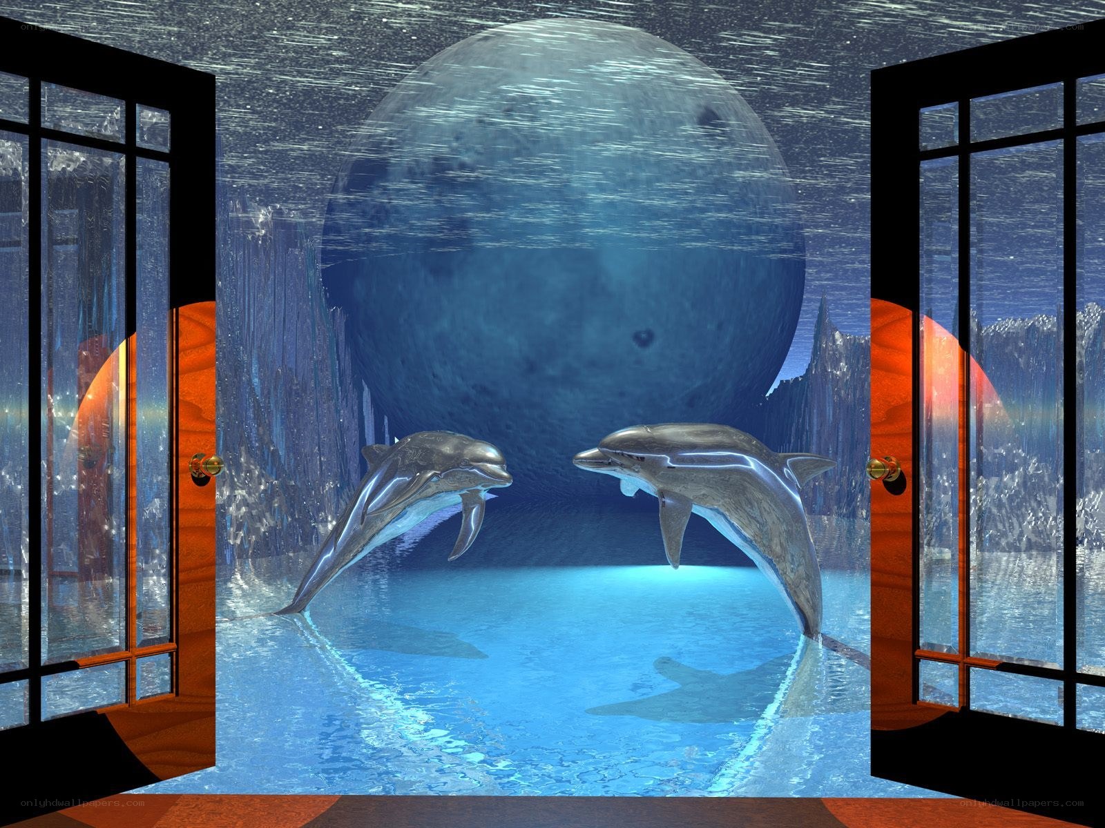 Dolphins in a dreamlike pool