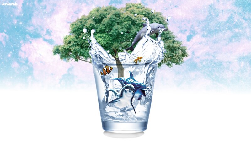 Dolphins in a Glass