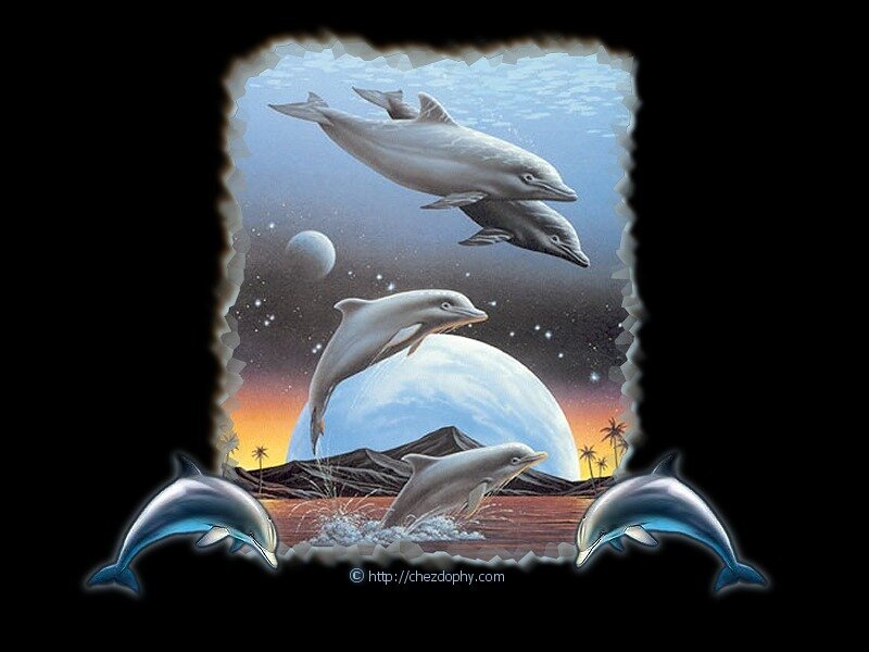 Dolphins in a surreal landscape