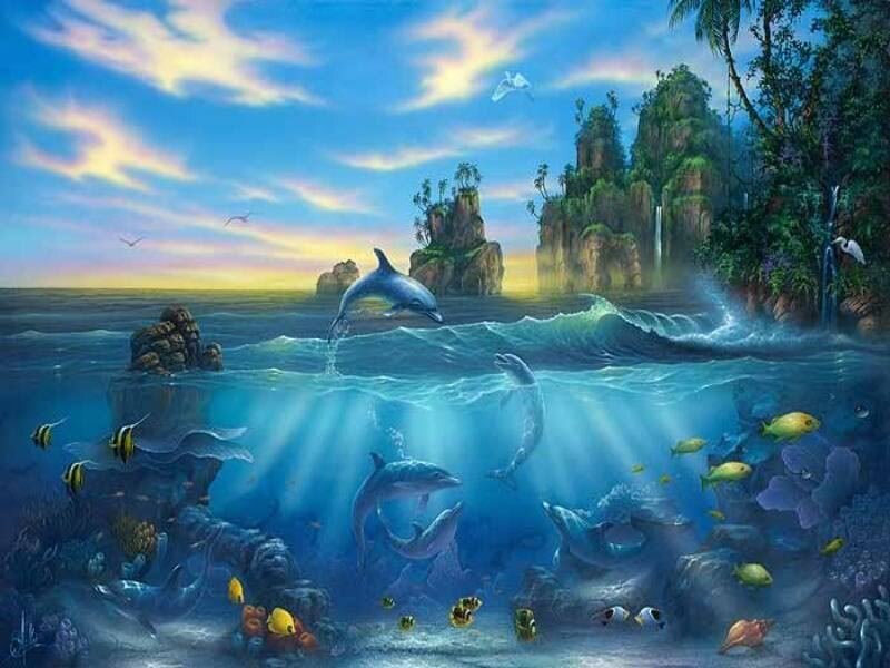 Dolphins in a tropical paradise