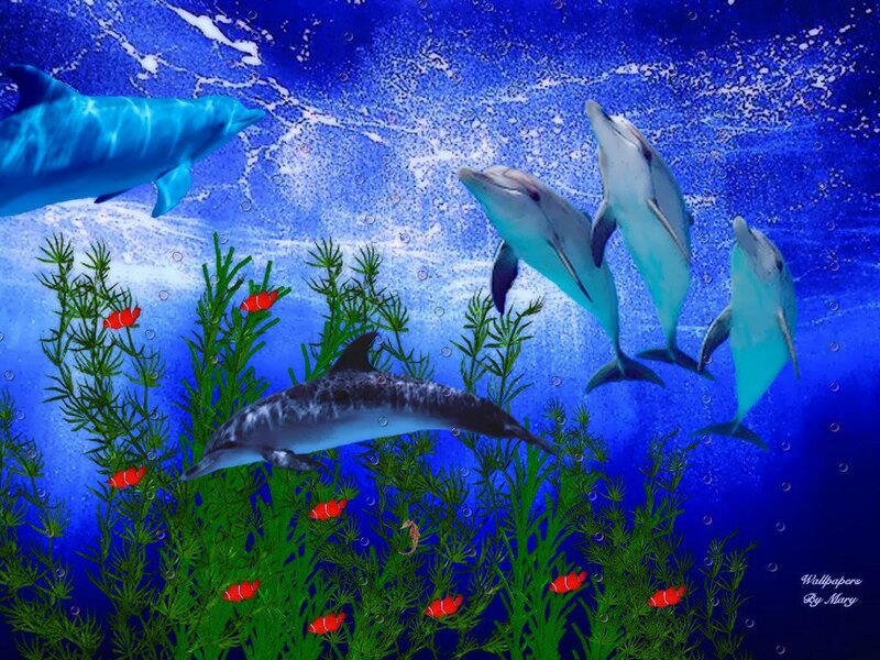 Dolphins in Aquarium — Blue