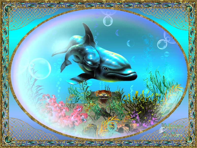 Dolphins in Aquarium