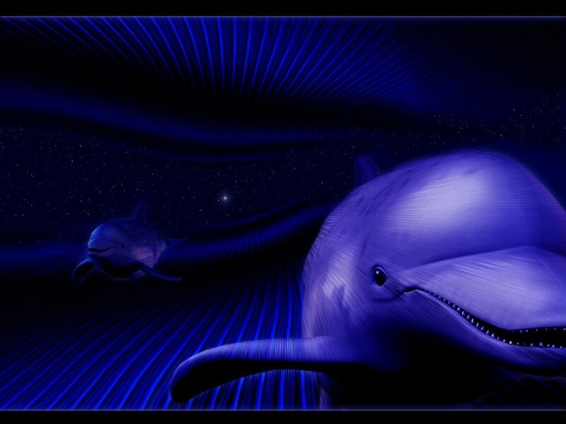 Dolphins in blue light
