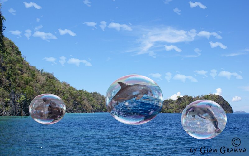 Dolphins in Bubbles