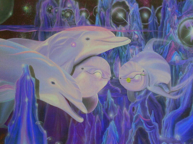 Dolphins in Cave