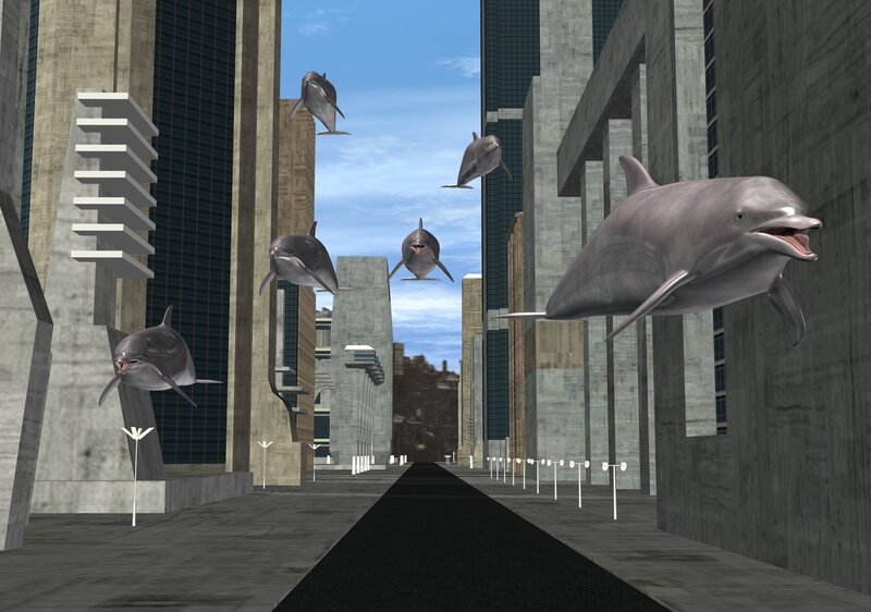Dolphins in City