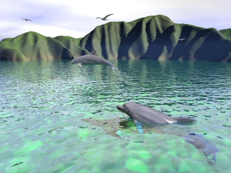 Dolphins in clear water