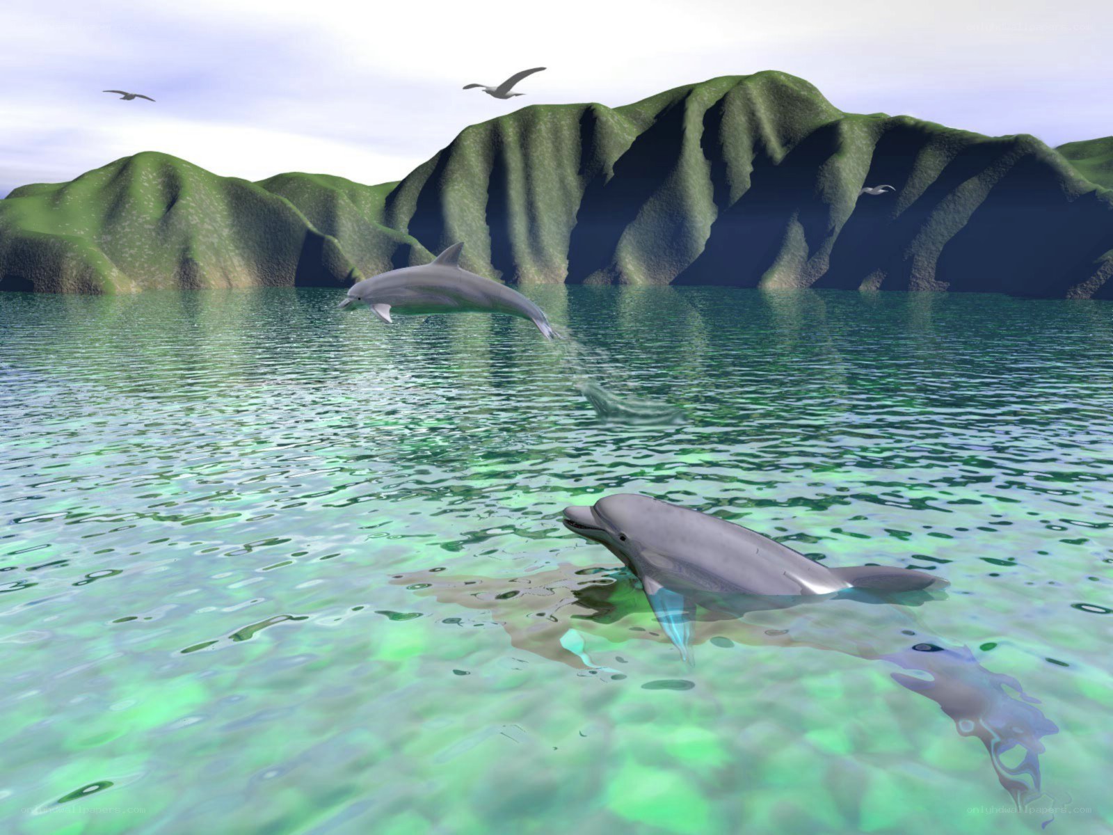 Dolphins in clear water