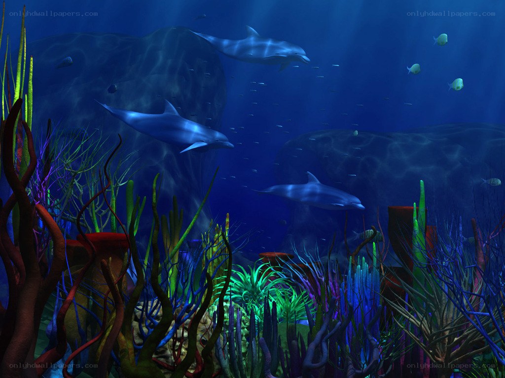 Dolphins in coral reef