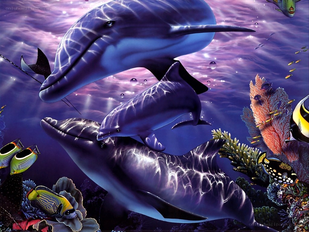 Dolphins in coral reef