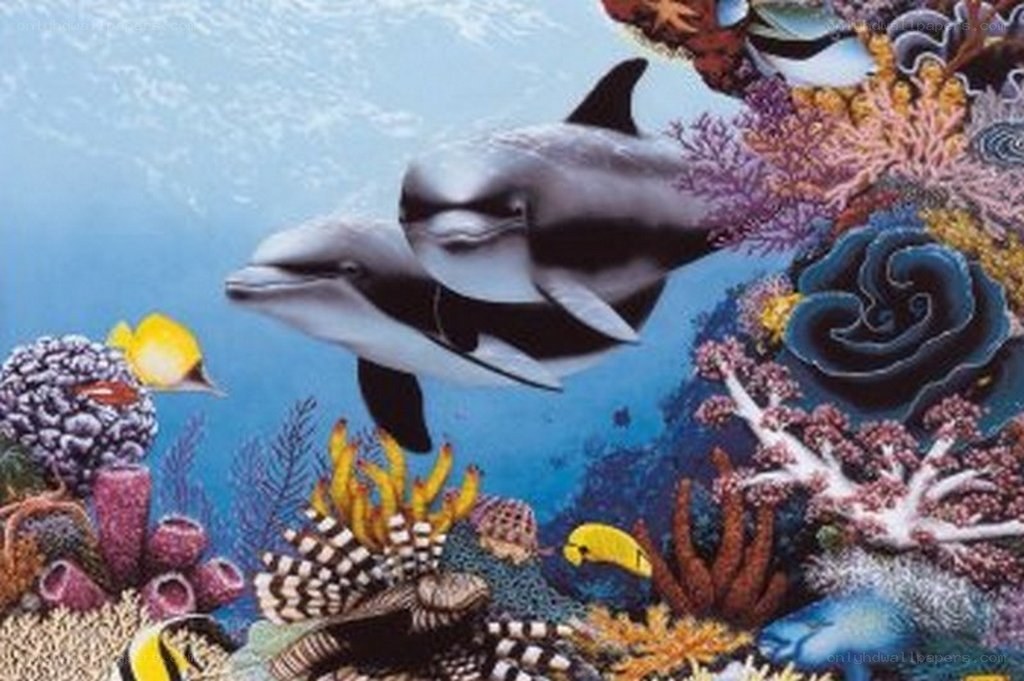 Dolphins in coral reef