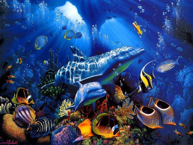 Dolphins in coral reef