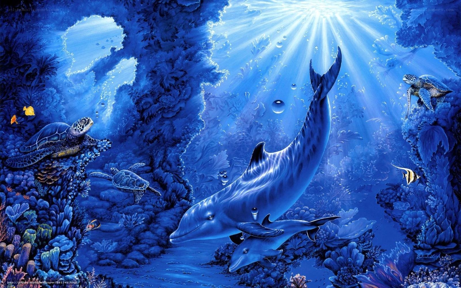 Dolphins in coral reef