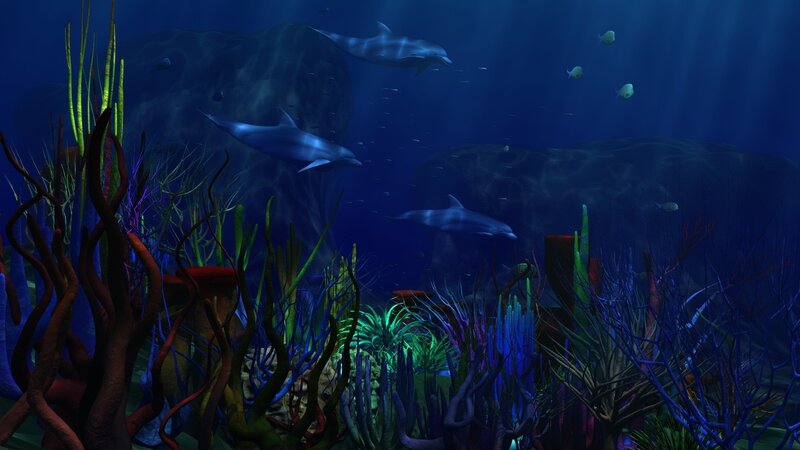 dolphins in coral reef