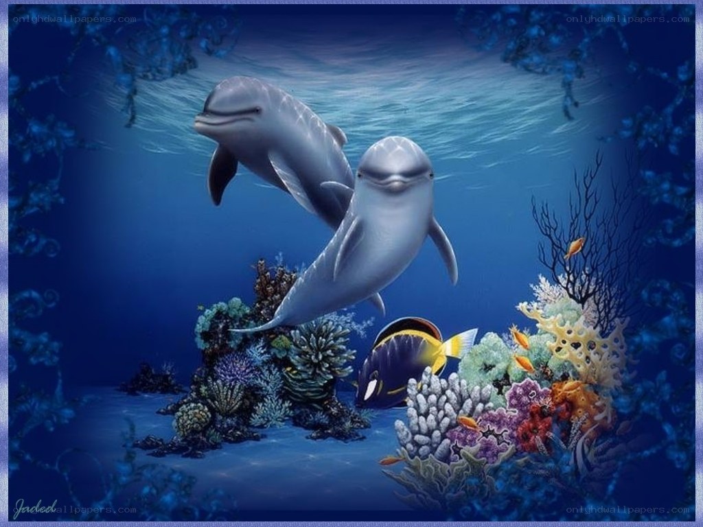 Dolphins in coral reef