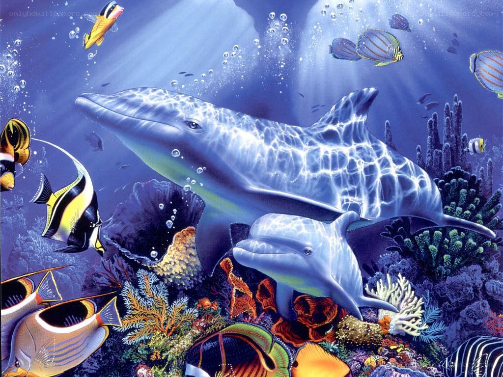 Dolphins in coral reef