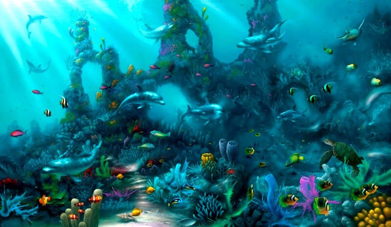 Dolphins in Coral Reef — Blue, Serene, Afternoon