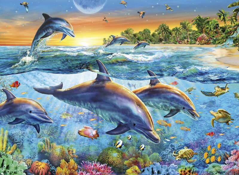 Dolphins in Coral Reef — Blue, Serene, Sunset, Illustration