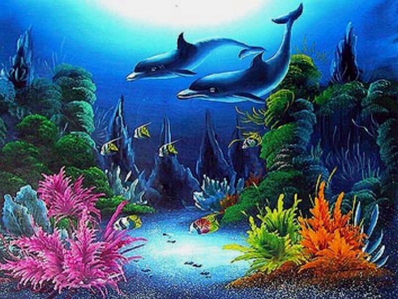 Dolphins in Coral Reef — Blue, Serene
