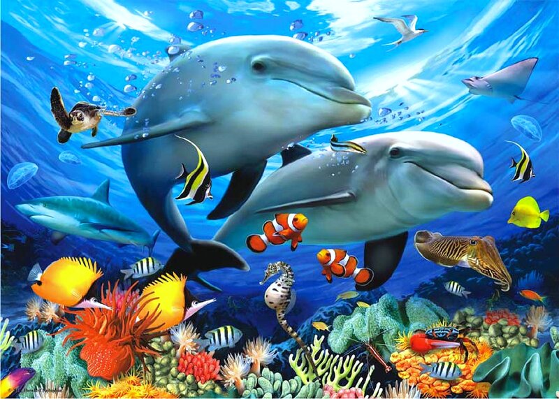 Dolphins in Coral Reef — Blue, Vibrant, Illustration, Shark