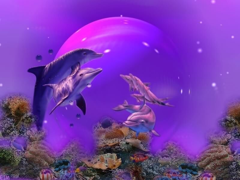 Dolphins in Coral Reef — Purple, Serene