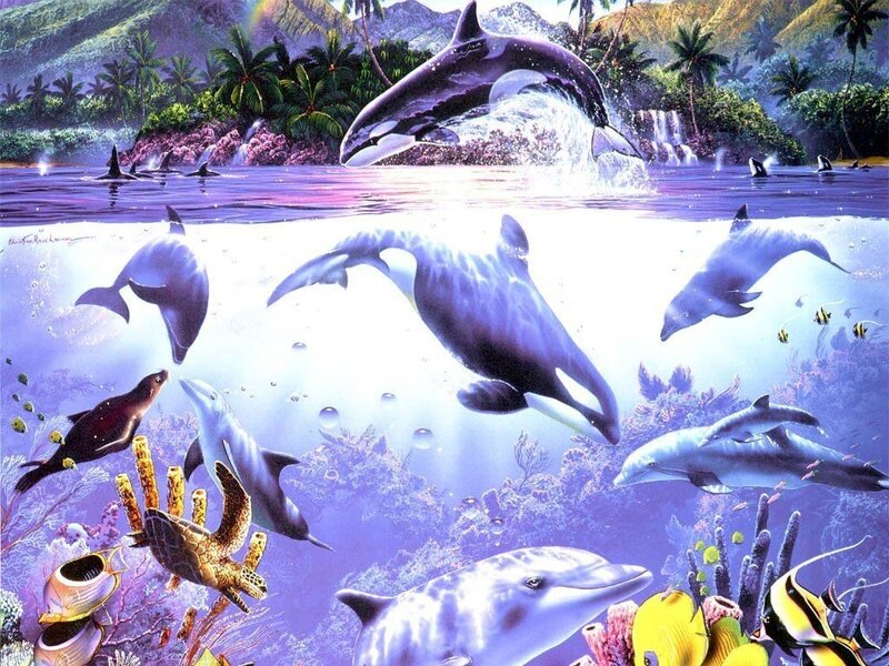Dolphins in Coral Reef — Purple